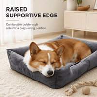 Dog resting on a raised supportive edge pet bed in a cozy living room.